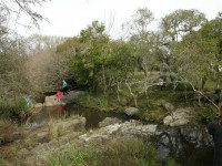 /album/fotogaleria/a2008072620080726-80-jpg/