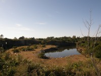 /album/fotogaleria/p5022091-jpg/