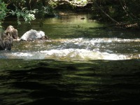 /album/fotogaleria/pc171156-jpg/