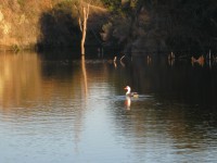 /album/fotogaleria/img-0555-jpg/