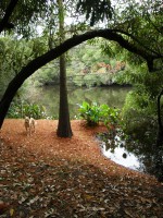 /album/oto%c3%b1o/p5182266-jpg/