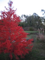 /album/oto%c3%b1o/a186-8672-jpg/