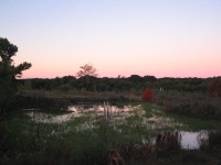 /album/oto%c3%b1o/a186-8677-jpg/