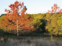 /album/oto%c3%b1o/img-0324-jpg/