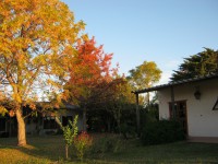 /album/oto%c3%b1o/img-0340-jpg/