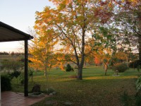 /album/oto%c3%b1o/img-0355-jpg/