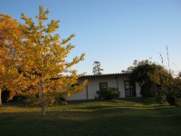 /album/oto%c3%b1o/img-4076-jpg/