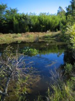 /album/verano/a182-8203-jpg/