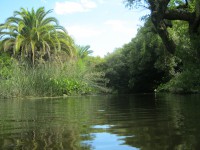 /album/verano/img-2122-jpg/