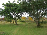 /album/oto%c3%b1o/img-1827-jpg/