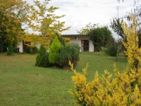 /album/oto%c3%b1o/img-1833-jpg/