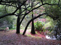 /album/oto%c3%b1o/img-1820-jpg/