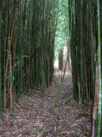 /album/oto%c3%b1o/img-1823-jpg/