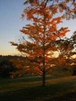 /album/oto%c3%b1o/img-2397-jpg/