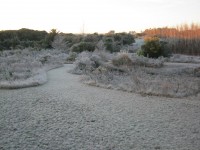 /album/invierno/img-1884-jpg/