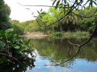 /album/verano/img-2309-jpg/